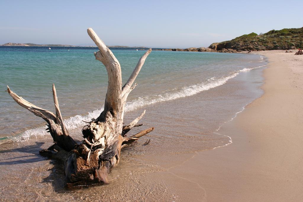 Marina Di Cavu Panzió Bonifacio  Szoba fotó